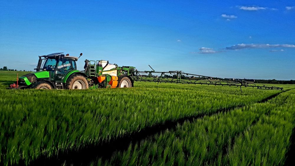 Usługi rolnicze Koszenie zbóż kukurydzy Siew pasowy STRIP TILL S