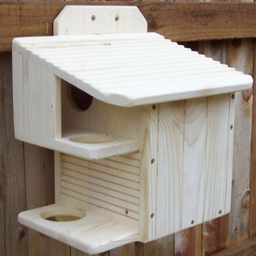 Будиночок , годівниці для білок