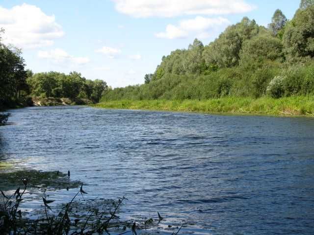 продаж бази "електронік" с  Сновянка   Чернігівського р-на