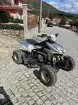 Moto 4 Shineray 300ste