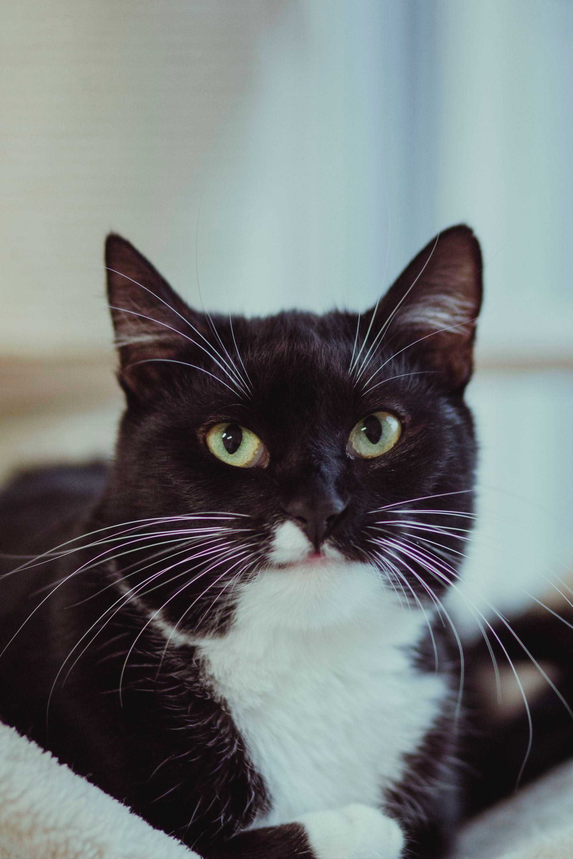 Demi zwrócona z adopcji i zapomniana