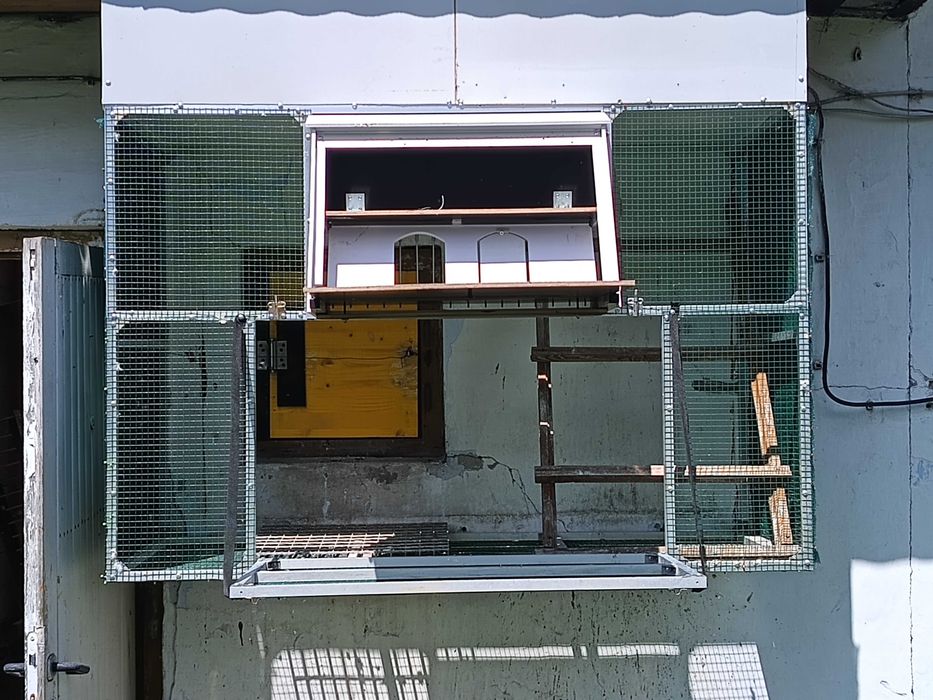 Woliera aluminiowa plus wlot dla gołebi!!!