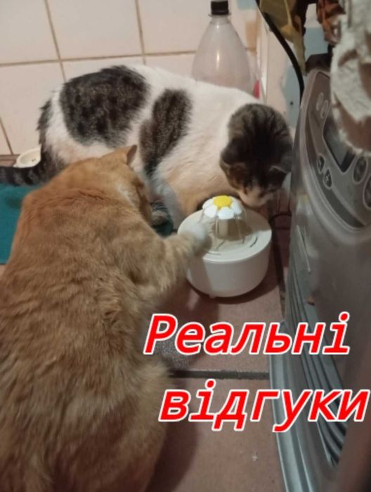 Фонтан - поїлка для тварин з датчиком руху | Smart економія енергії