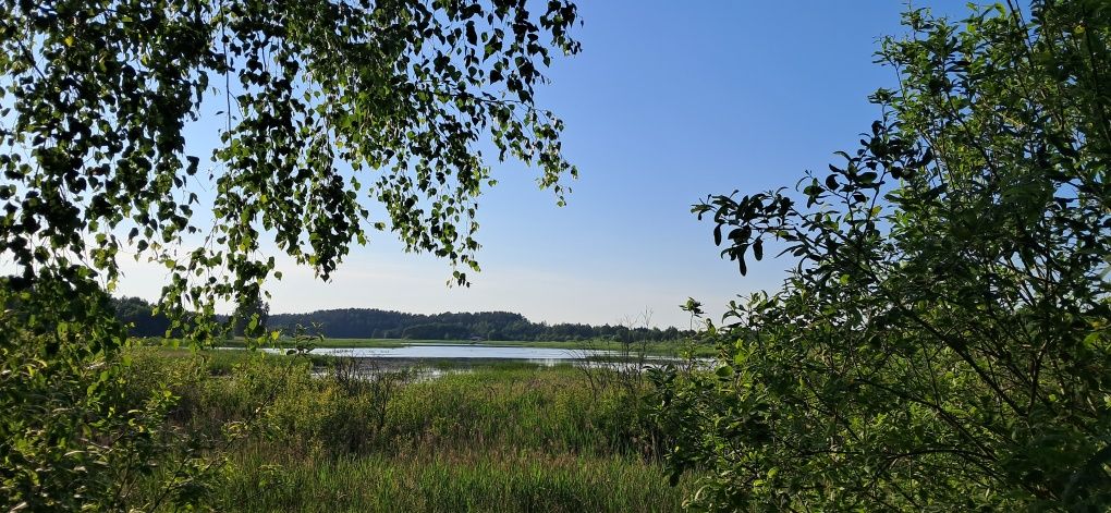 Pokoje do wynajęcia Dom nad Stawem Agroturystyka