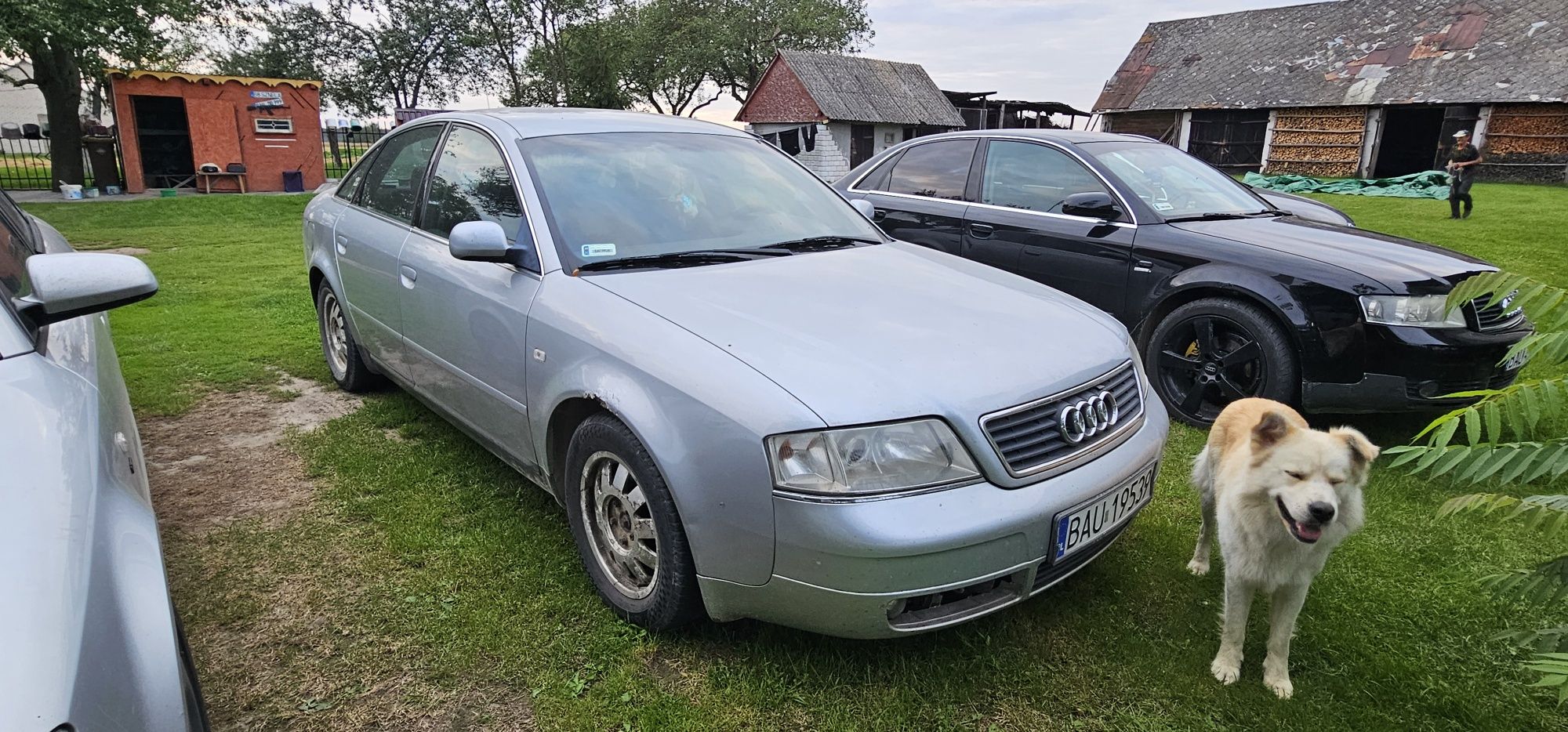 Audi A6 C5 1.8 Turbo - uszkodzony silnik ( pukanie w górnej części )