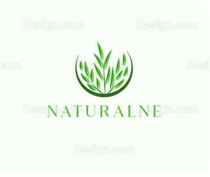 NATURALNY Miód wielokwiatowy z Borówką DUŻY SŁOIK 950g