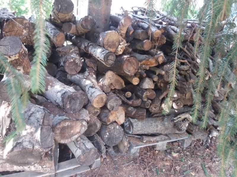 drewno na opał suche liściaste osika   10 mp tylko po 135 zł / mp