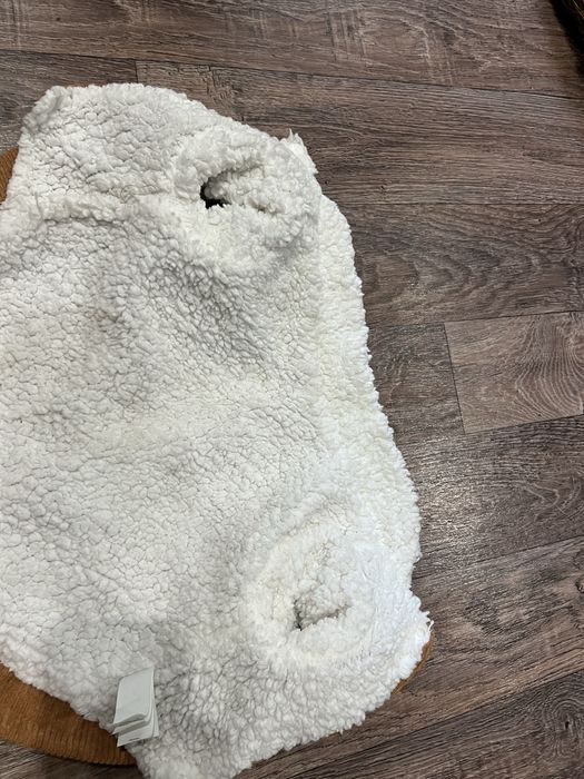 Одяг для тварин для прогулянок