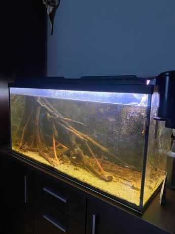 Akwarium 200l z filtrem i pokrywą