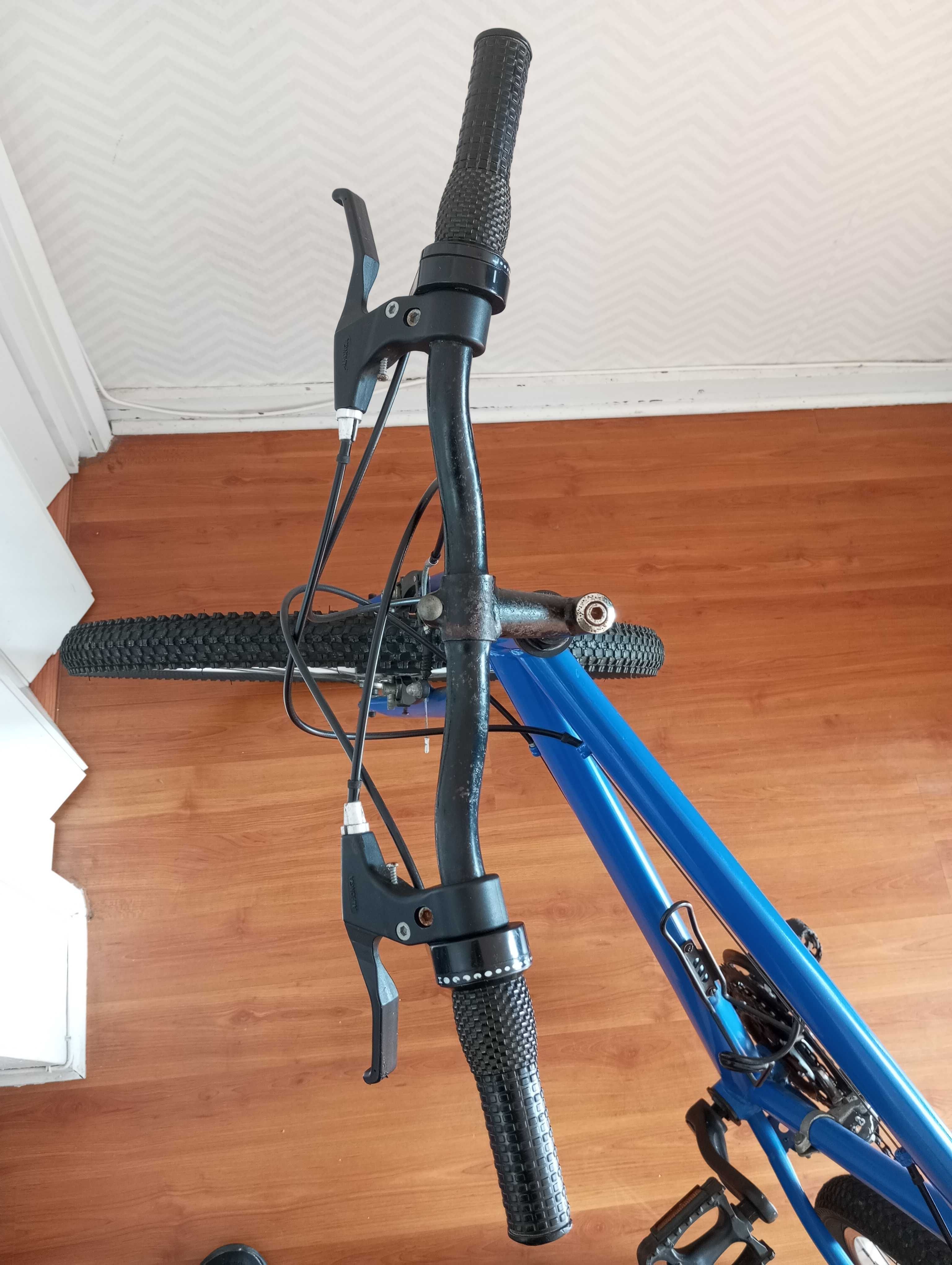 Bicicleta Adulto.