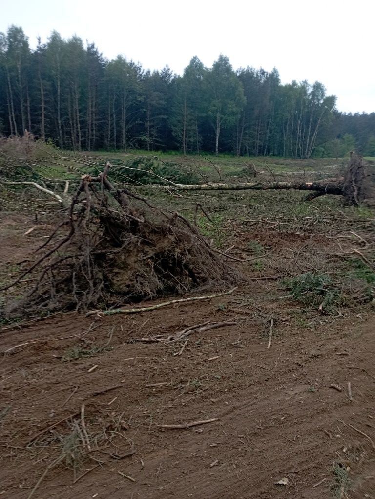 Nieodpłatne usuwanie zadrzewień i zarośli