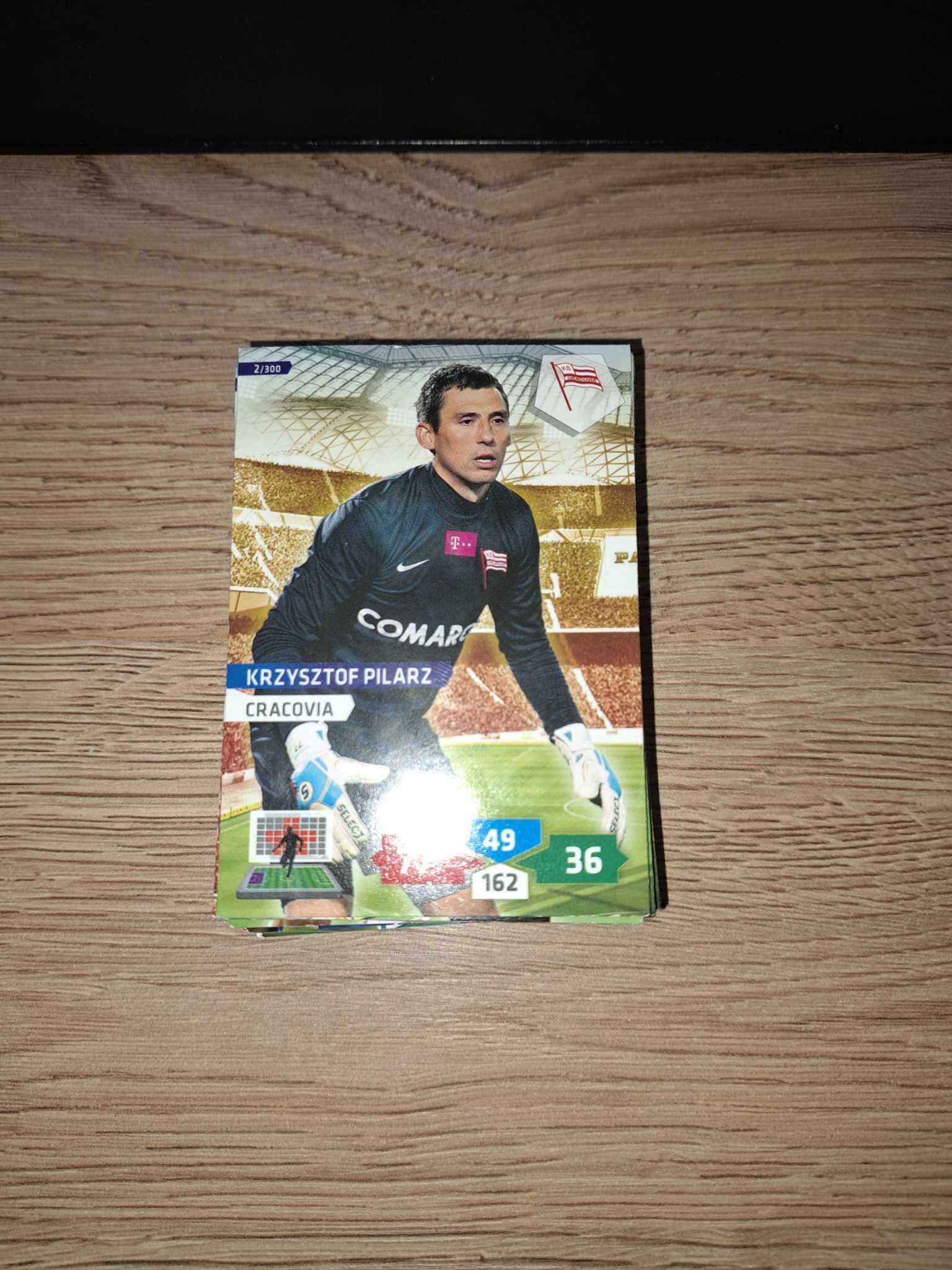 Panini T-Mobile Ekstraklasa 2013/14 - karty pilkarskie 62/313