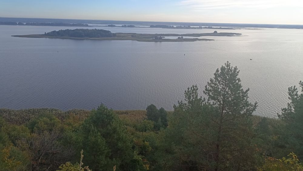 Земельна ділянка