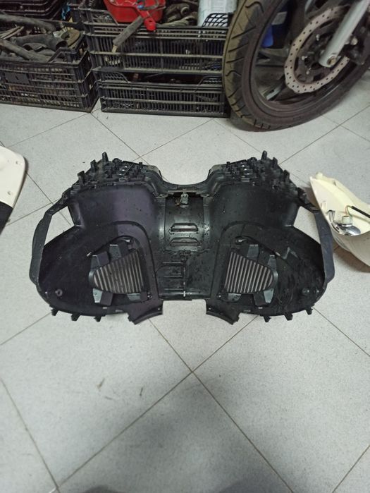 Carnagens Znen Legend