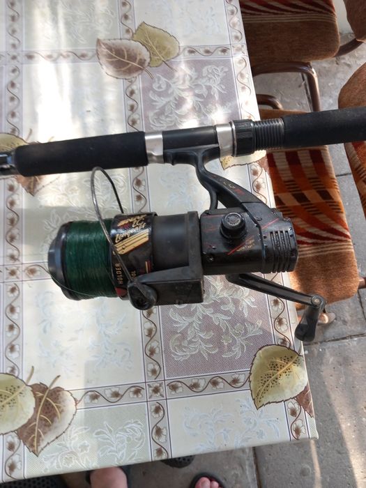 Mocna wędka na suma lub karpia,, Mikadoa