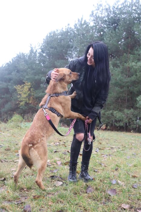 Tokyo wulkan pozytywnej energii szuka najlepszego domu