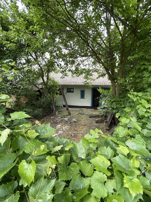 Продаж будинку в селі Лука(Білоцерківський район).