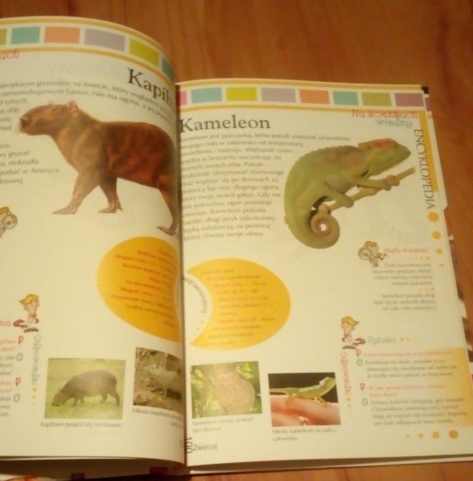 Na ścieżkach wiedzy Encyklopedia 100 zwierząt - dla dzieci