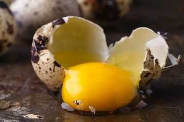Ovos de Codorniz Gigante para consumo!!!