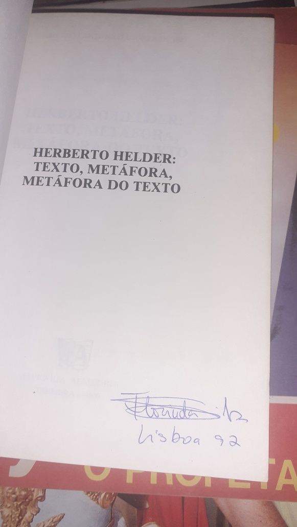 Herberto Hélder texto metáfora livro Américo Diogo