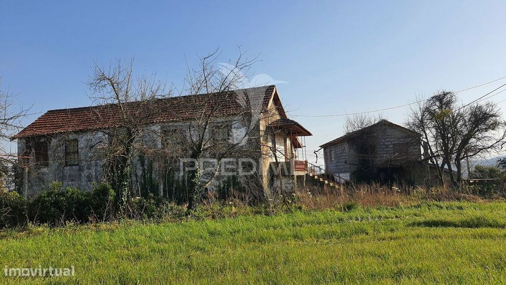 Quinta com 3 hectares com duas moradias.