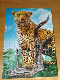 Puzzle Trefl 500 - Dziki lampart