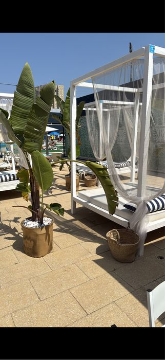 5 Camas Estilo Balinesas de Madeira com Colchoes Incluidos