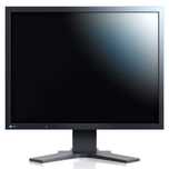 Monitor EIZO Flexscan 21'3"