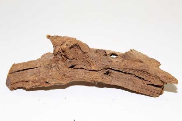 Korzeń do akwarium z Malezji: Jungle Wood, Yati Wood 25-33cm