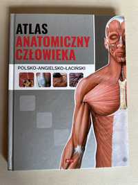 Atlas anatomiczny czlowieka