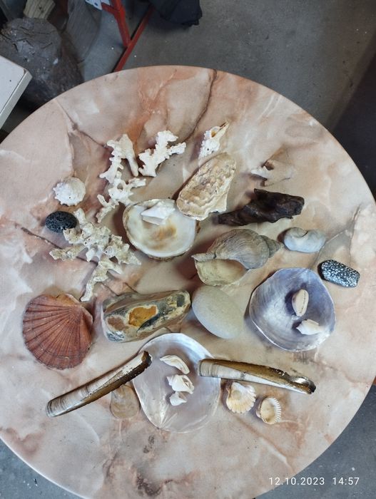 Akwarium ozdoby denne