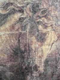 quadro com impressão de clássica de cavalo de Michelangelo