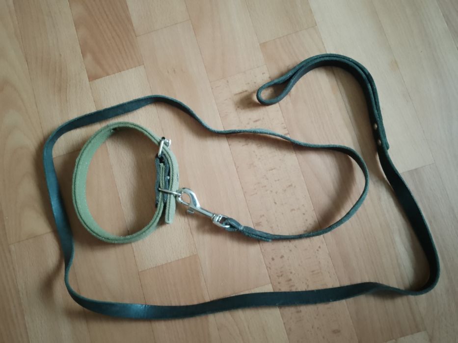 Нашийник+ повідок