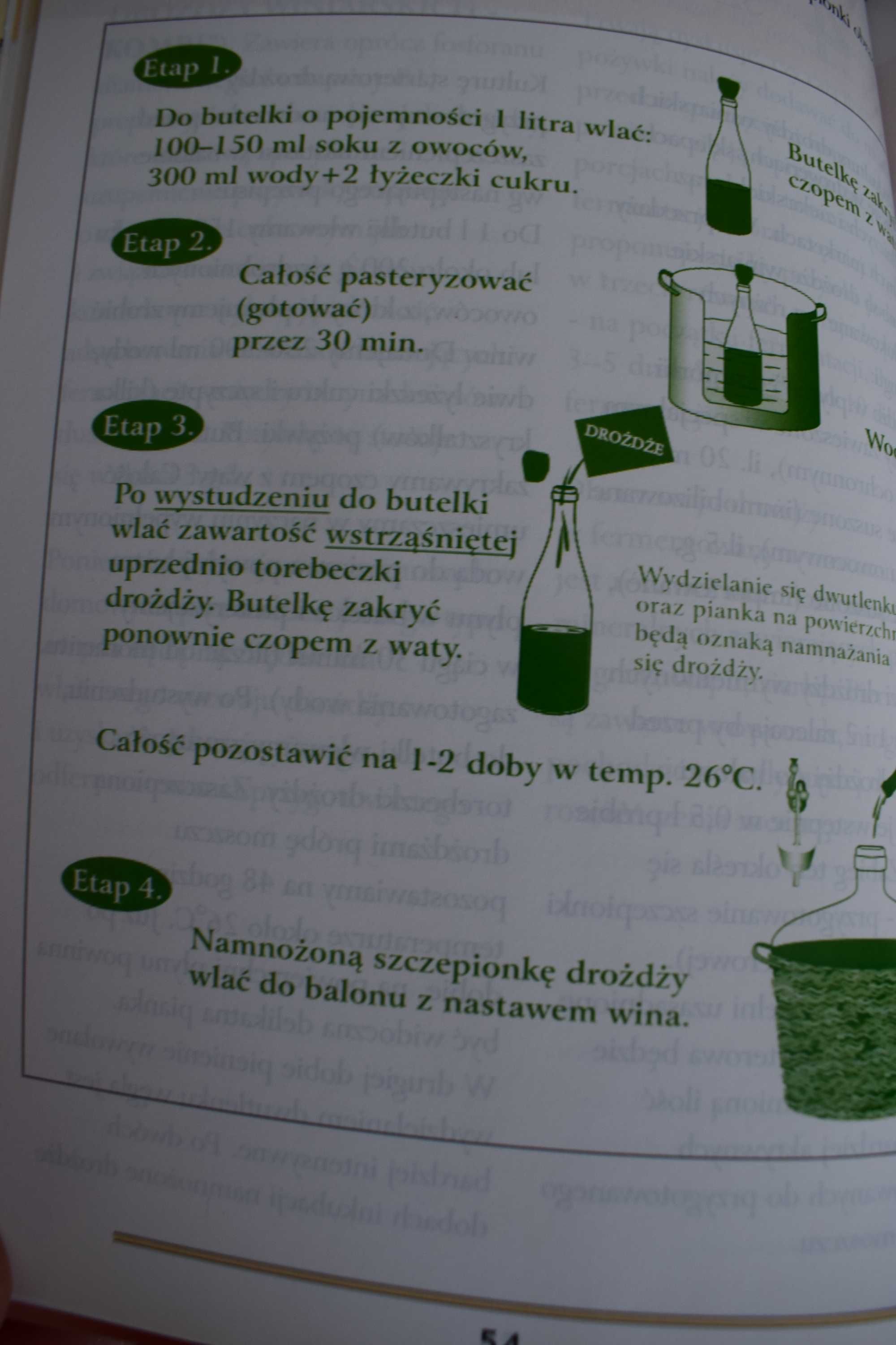 Wyrób wina i piwa domowego - Ewa Kwapisz.