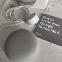 Google home mini