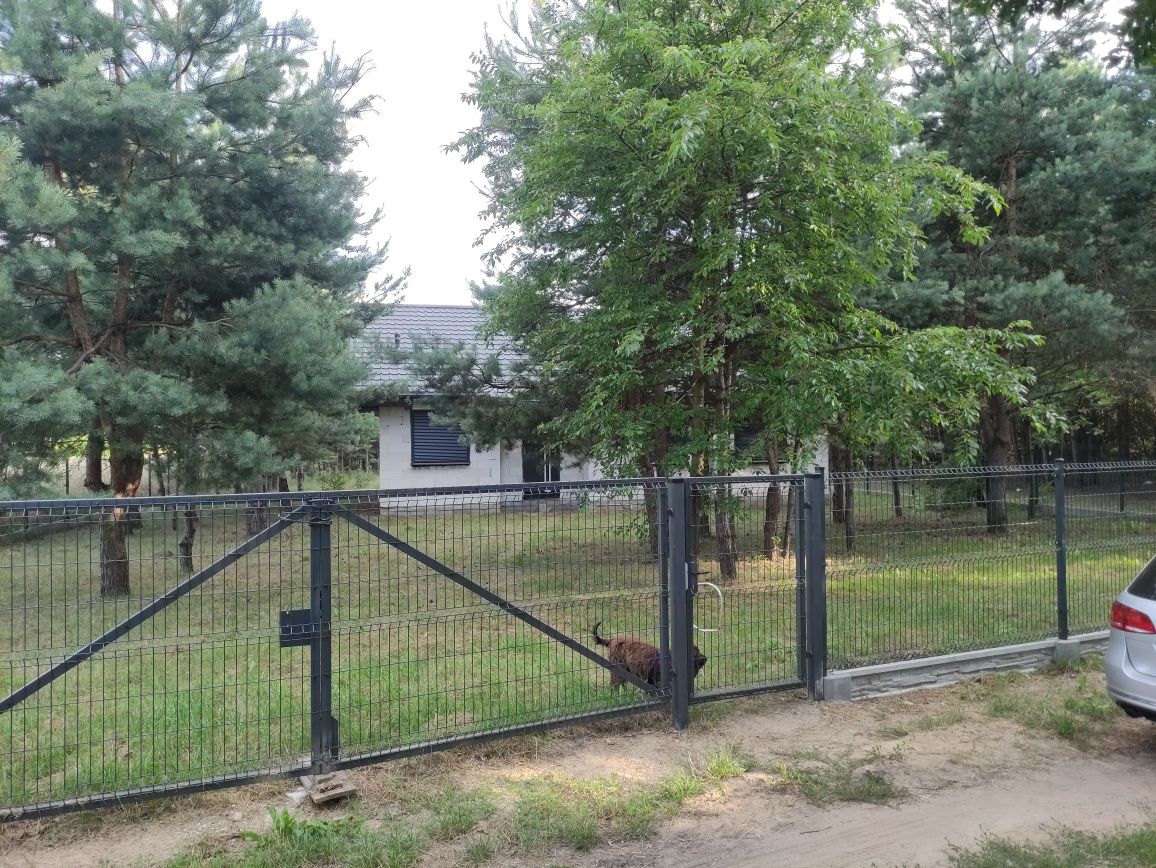 Sprzedam dom z działką.