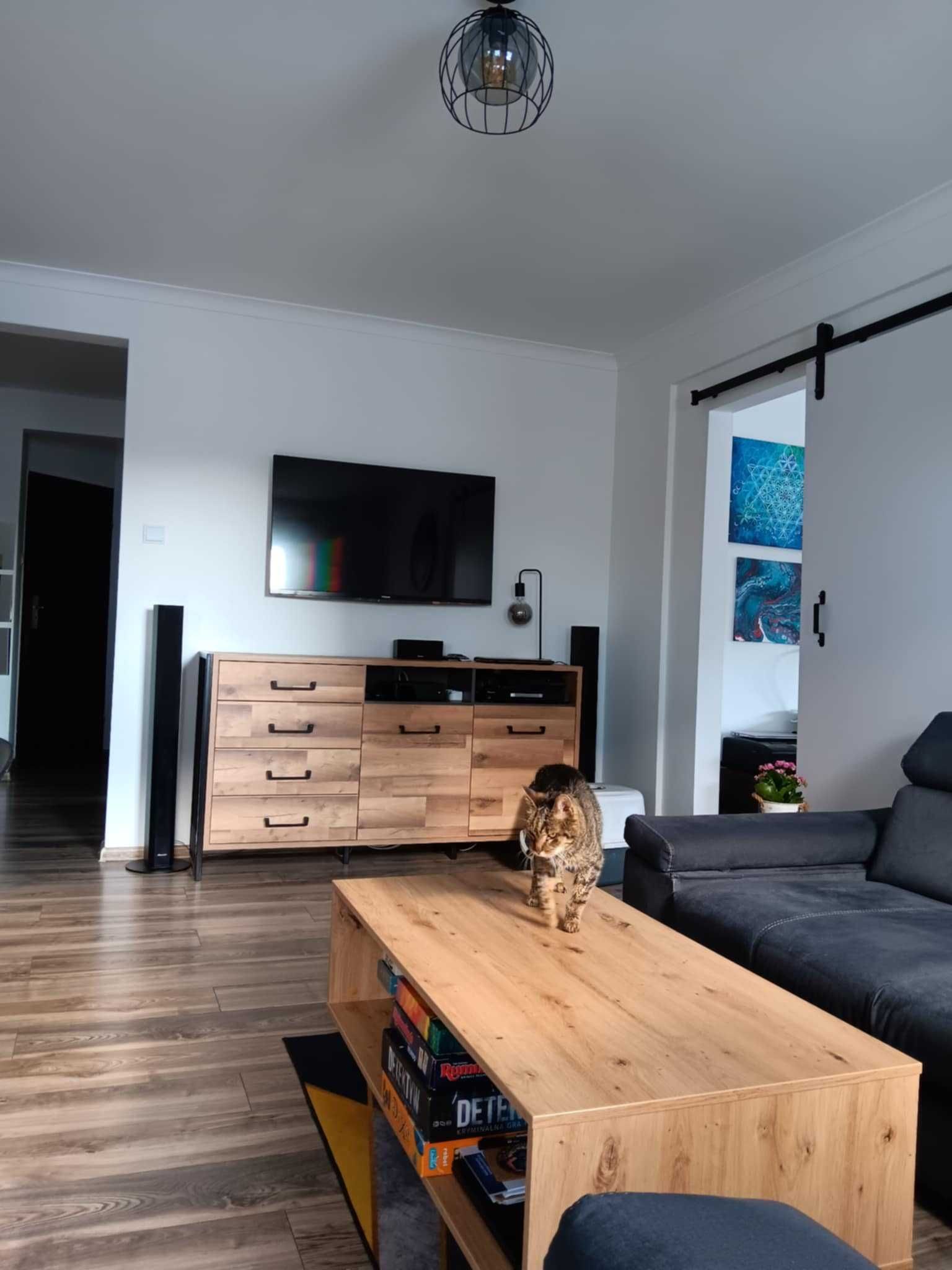 Stolik kawowy w stylu loft, niska ława