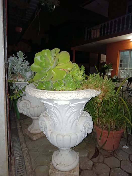 Conjunto vasos jardim