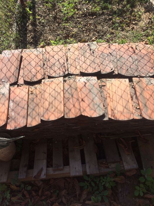 Черепиця глиняна