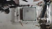 Продам процессор AMD FX 4100