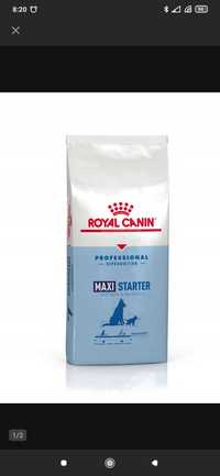 Royal Canin maxii starter 17kg drobiowa