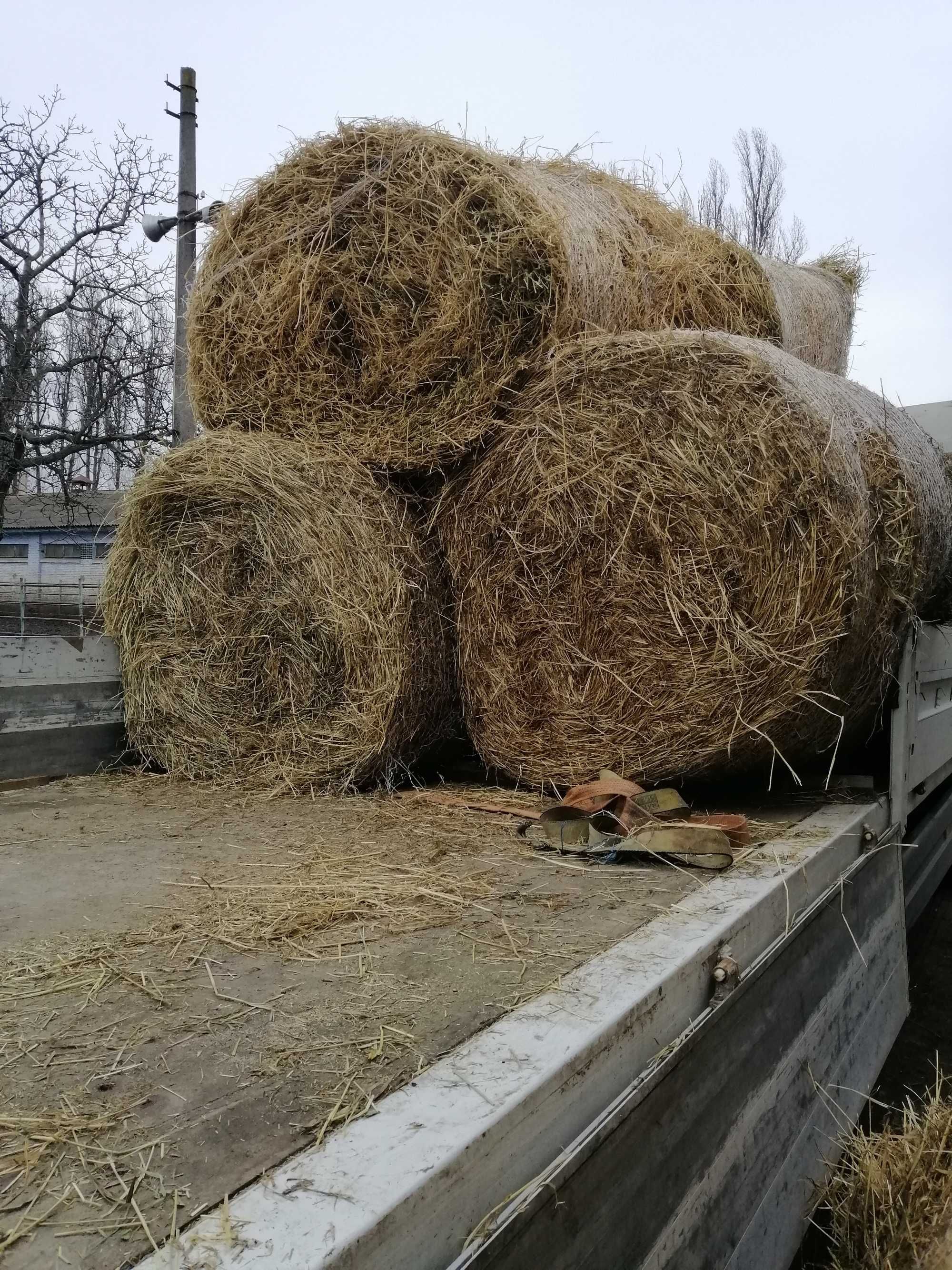 Сіно ЛУГОВЕ в тюках