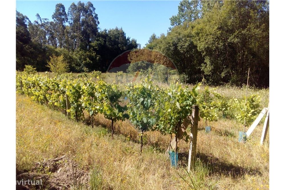 Terreno  para venda