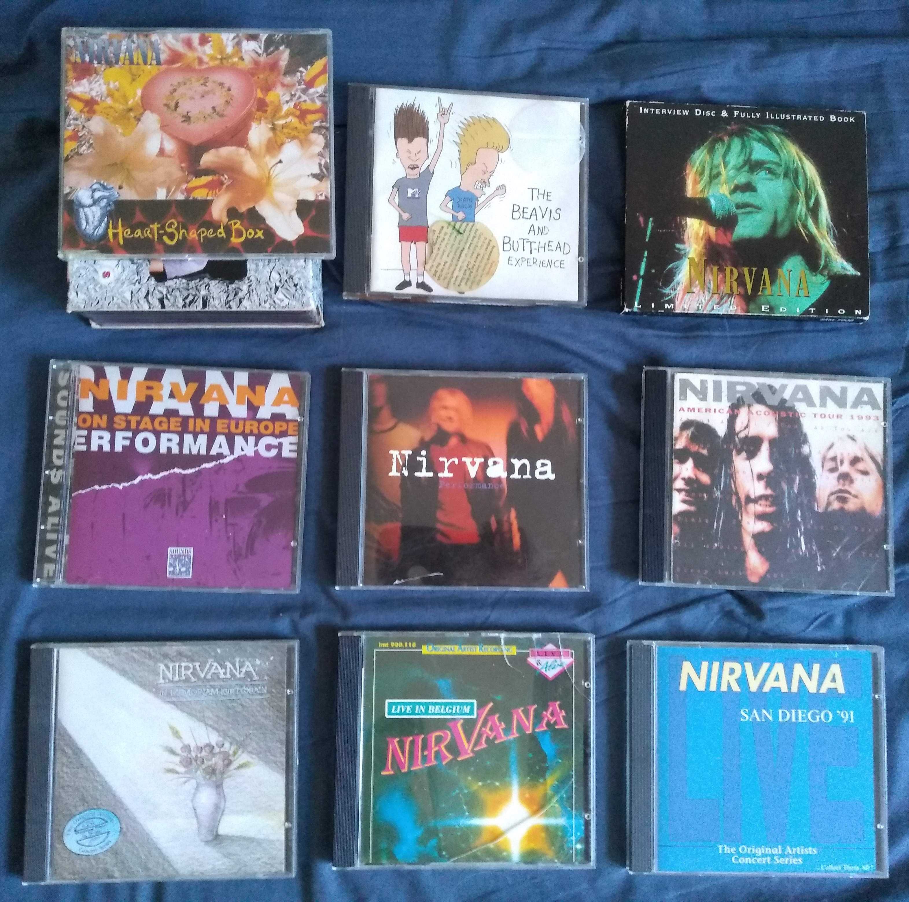 Nirvana, Tool, Pixies, Soulfly, Mudhoney, Faith no More, ...