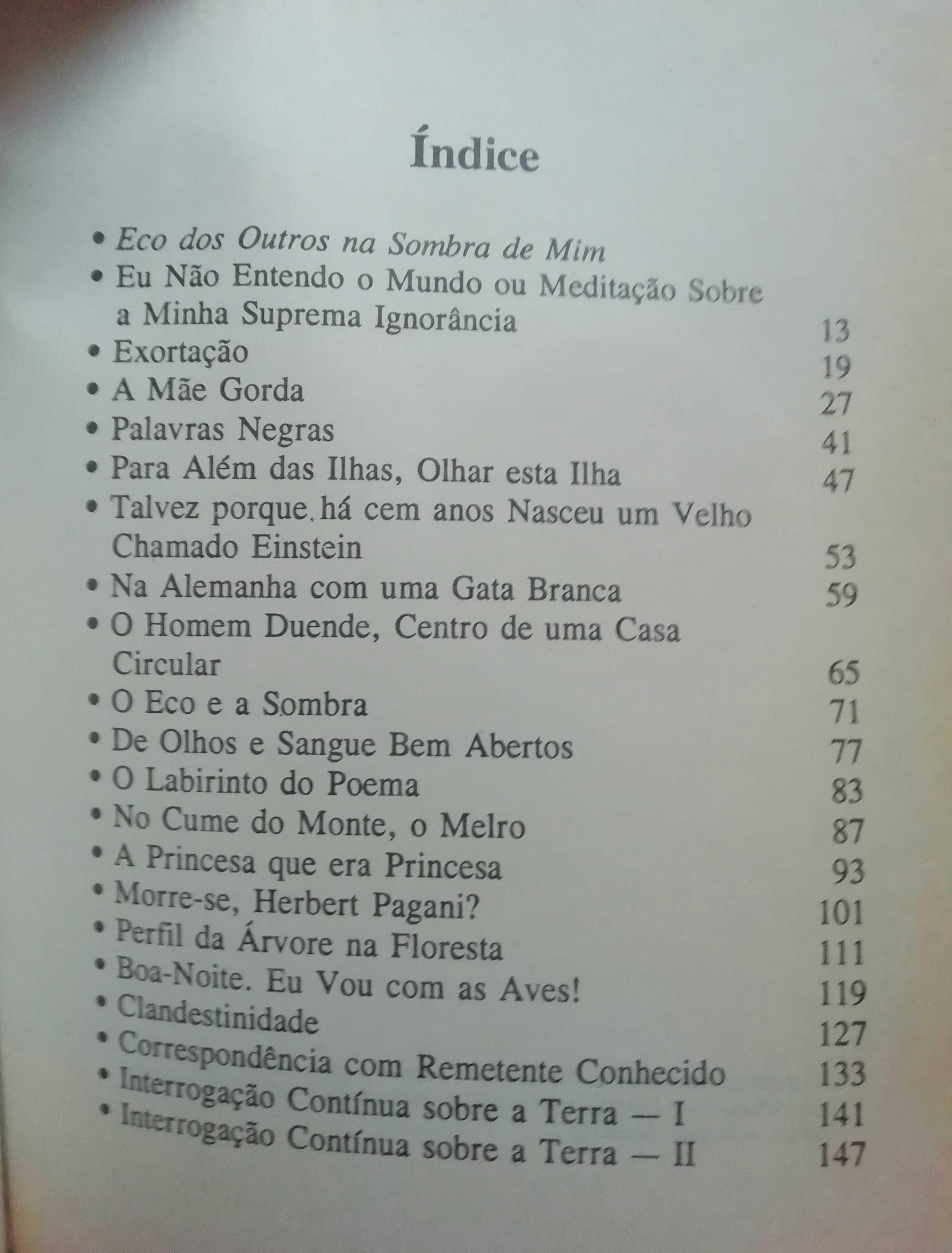 O Eco e a Sombra - Fátima Murta