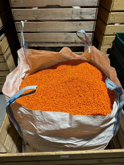 Свіжоморожена сортова обліпиха