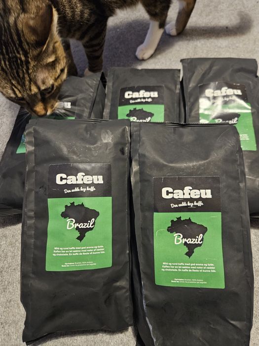 Kawa Arabica 100% z Brazylii