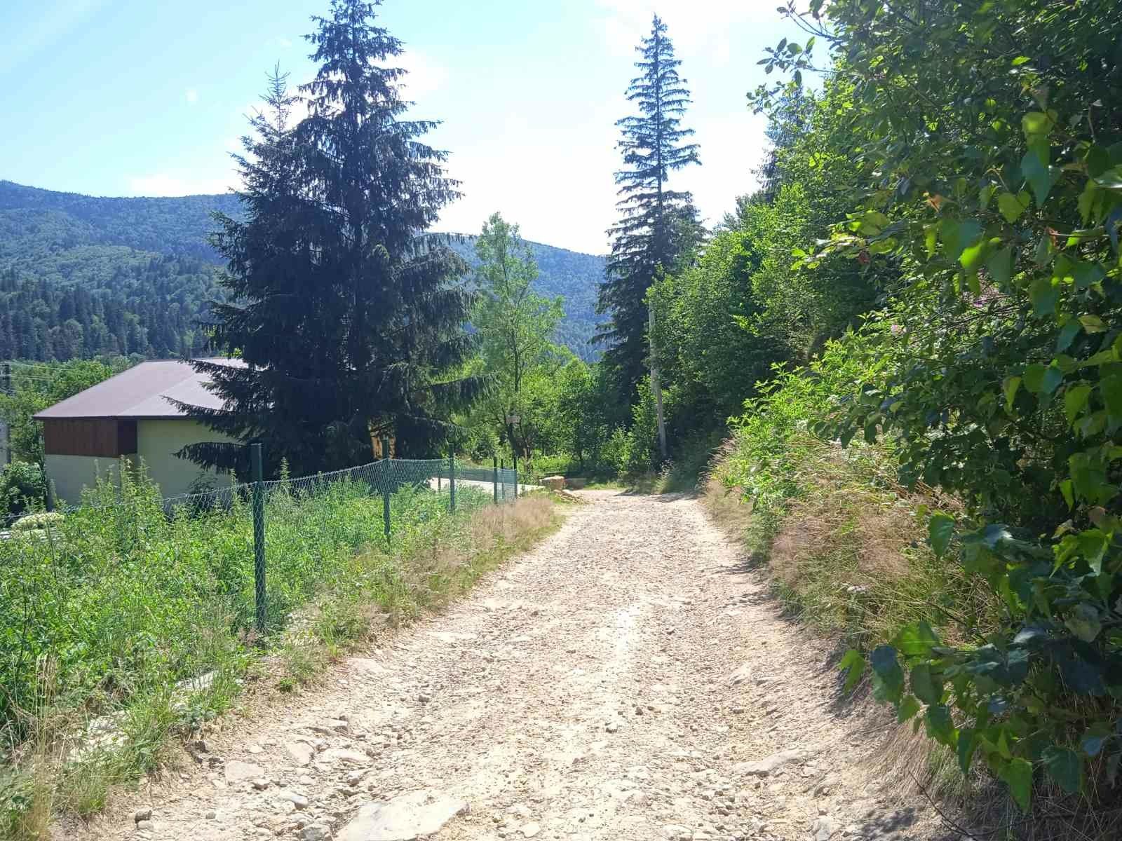 Оренда котеджу окремого в Карпатах, в підніжжі гори ( ліс )