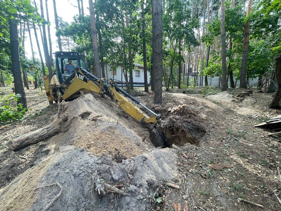 Обрізка дерев, Спил дерев, Валка, Корчування, Кронування дерев