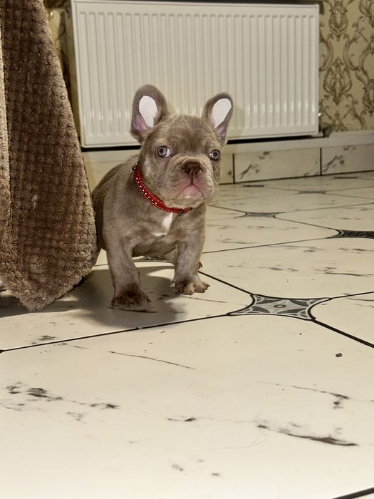 Супер якість хлопчик